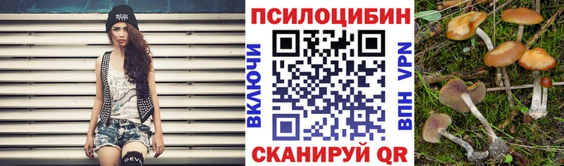 Псилоцибиновые грибы Psilocybe купить наркотик МЕГА сайт Вилюйск